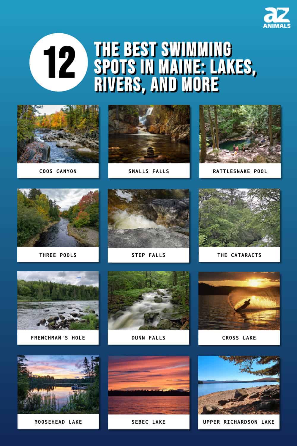 The Best Swimming Spots in Maine Lakes, Rivers, and More AZ Animals