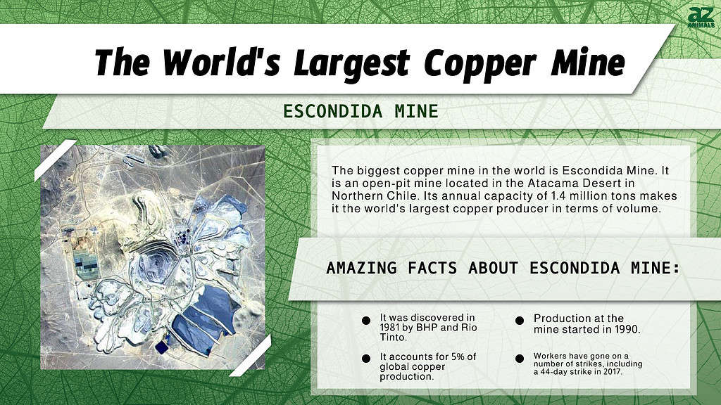 Infographic of the Largest Copper Mine in the World