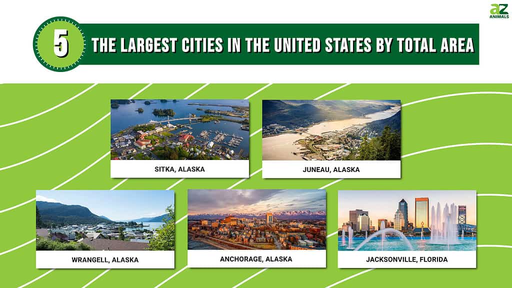 Infographic for the largest cities in the United States by total area.