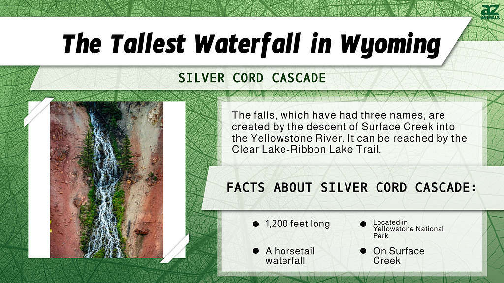 "Largest" infographic for the tallest waterfall in WY, the Silver Cord Cascade.