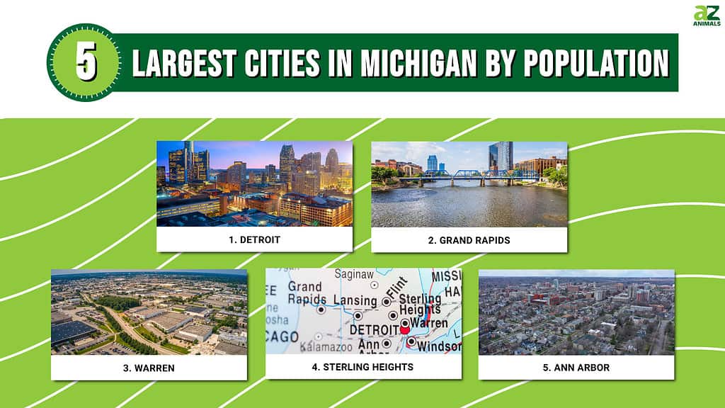 Infographic of 5 Largest Cities in Michigan by Population