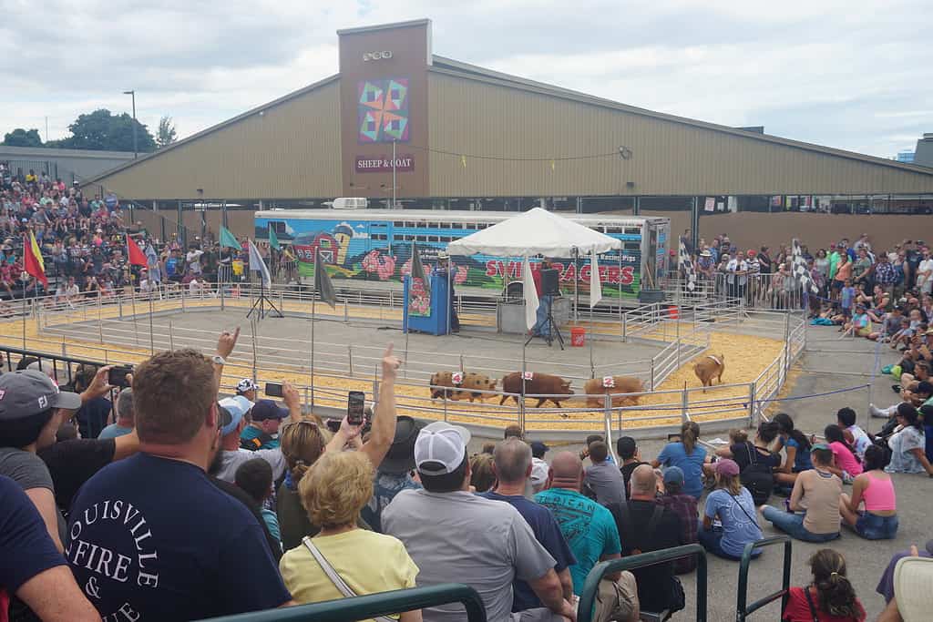 The Wisconsin State Fair is held in West Allis.