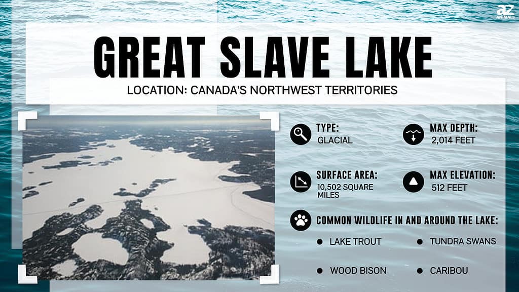 "Lake" infographic for the Great Slave Lake in Canada's Northwest Territories.