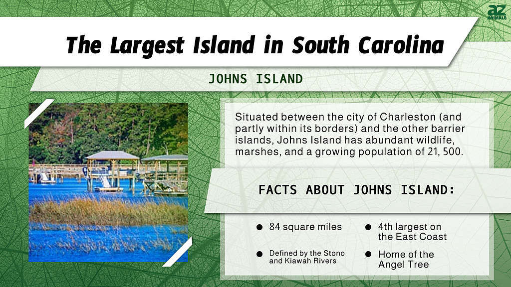 "Largest" infographic for the largest island in South Carolina.
