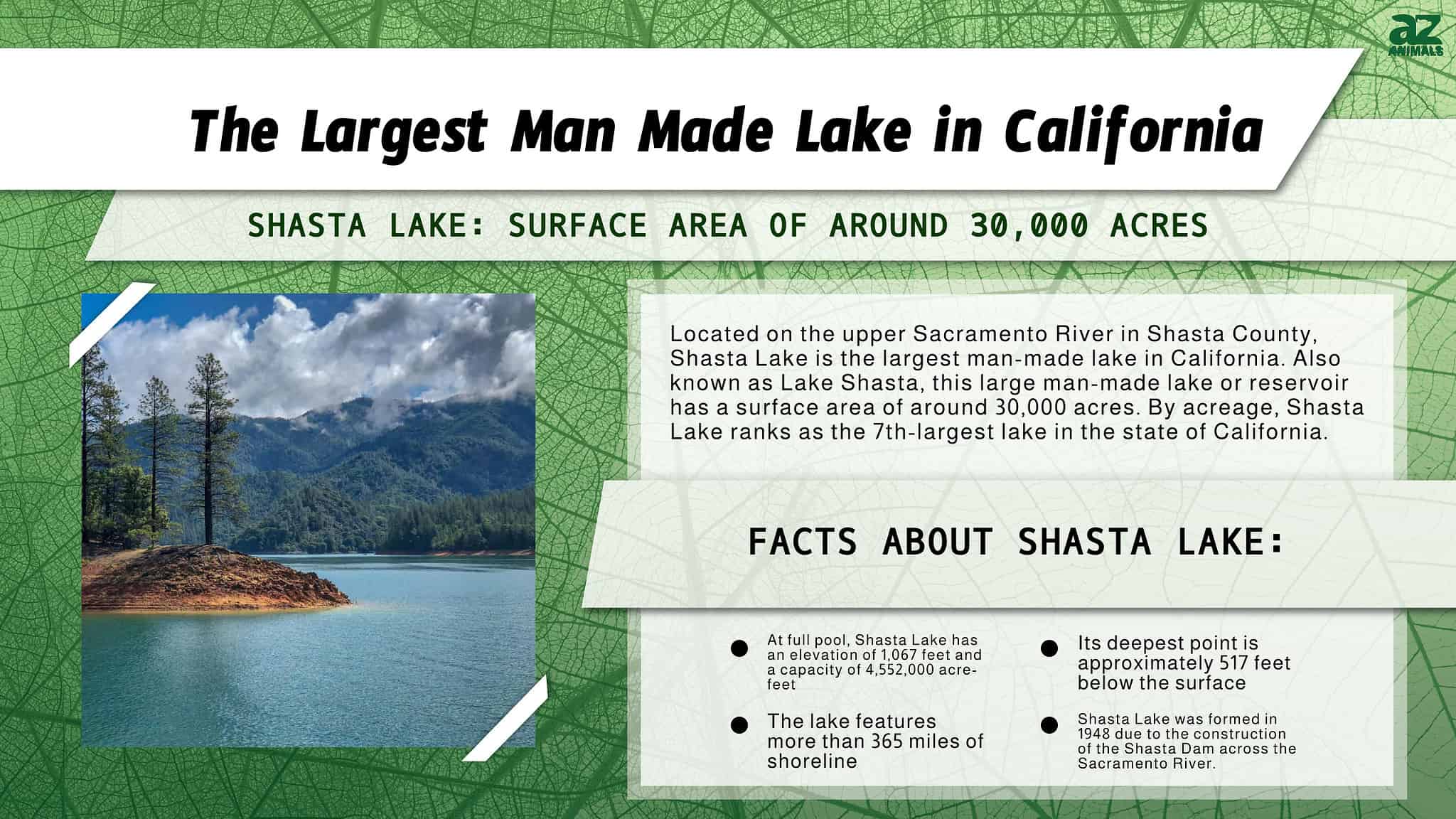 What's the Largest Man-Made Lake in California? - A-Z Animals
