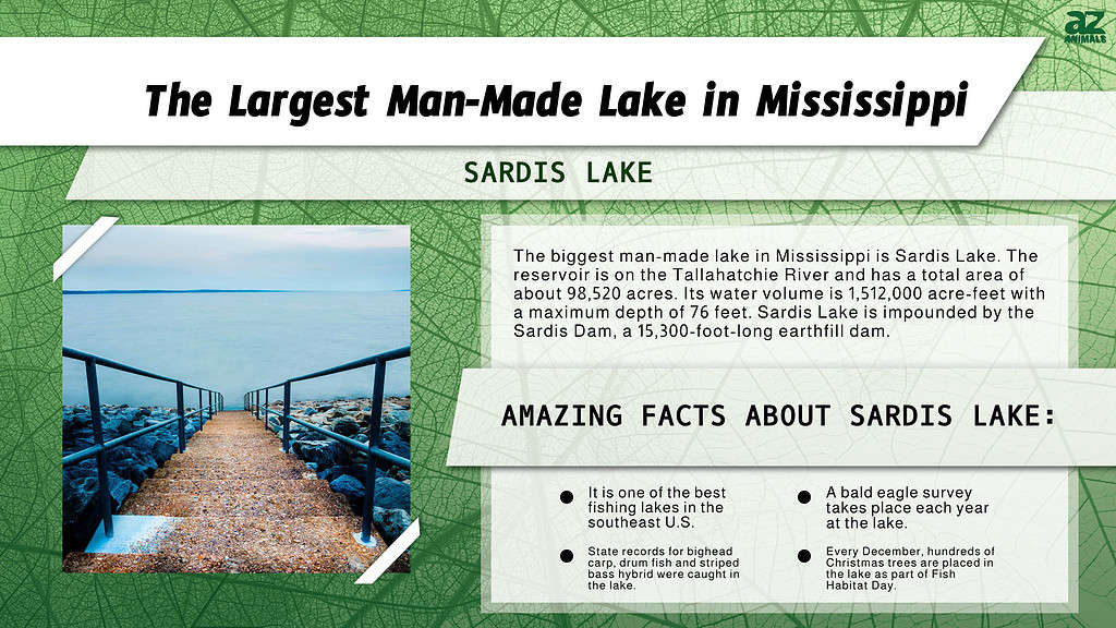 Infographic of the Largest Man-Made Lake in Mississippi