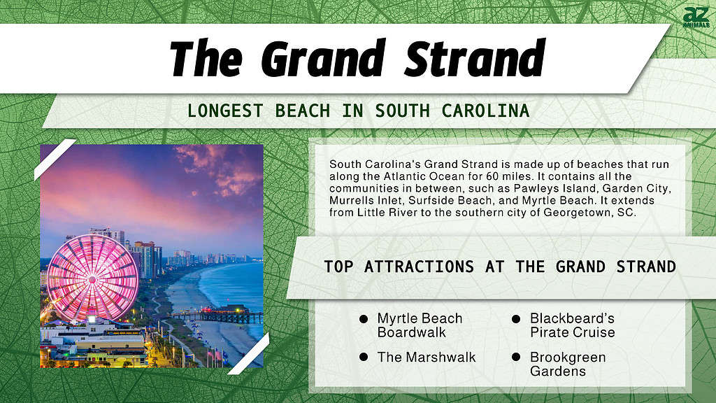 The Grand Strand is the  Longest Beach in South Carolina