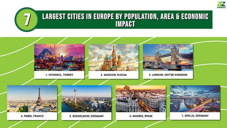 The 7 Largest Cities In Europe In 2024 A Z Animals   296de298a2ff9bbecc1a718cc5e28640f85e3687 768x432 