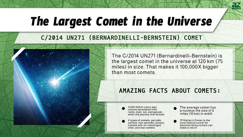 largest comet in our solar system