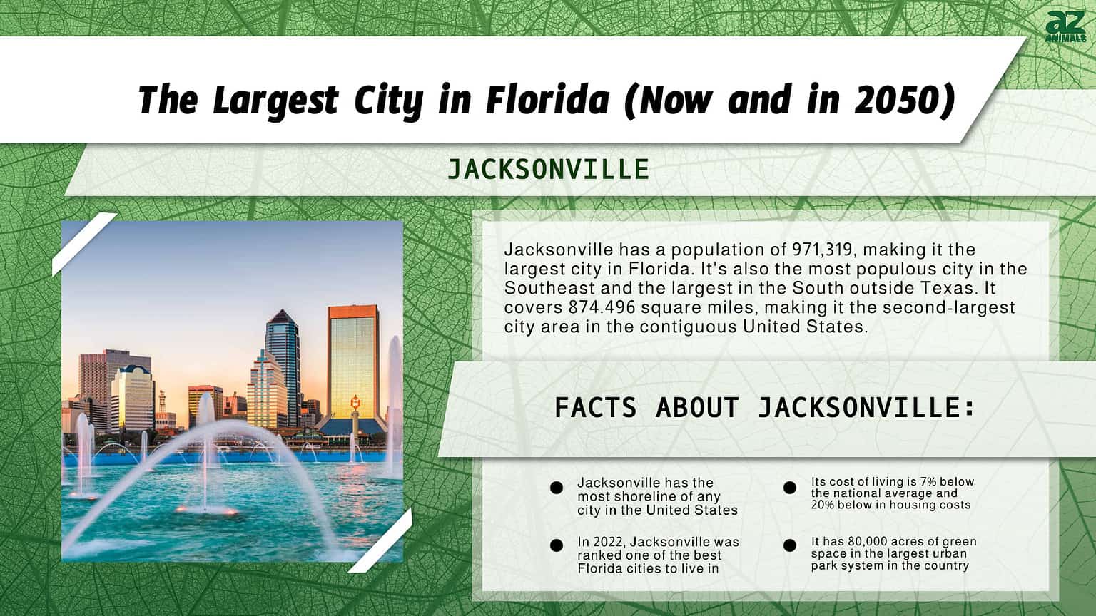 Discover The Largest City In Florida Now And In 2050 A Z Animals   31b48b29e8274db2565987e639f9b35d1e93d1e9 1536x864 