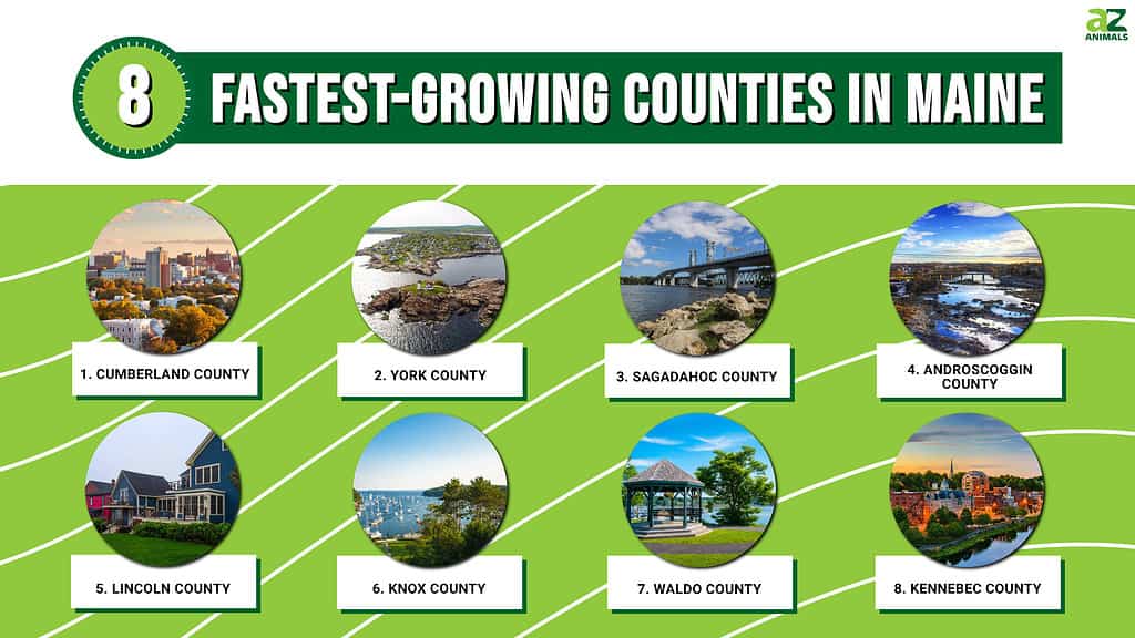 Infographic of 8 Fastest-Growing Counties in Maine