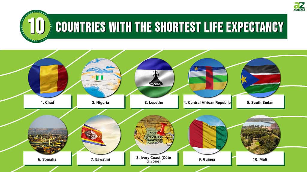 10 Countries With the Shortest Life Expectancy