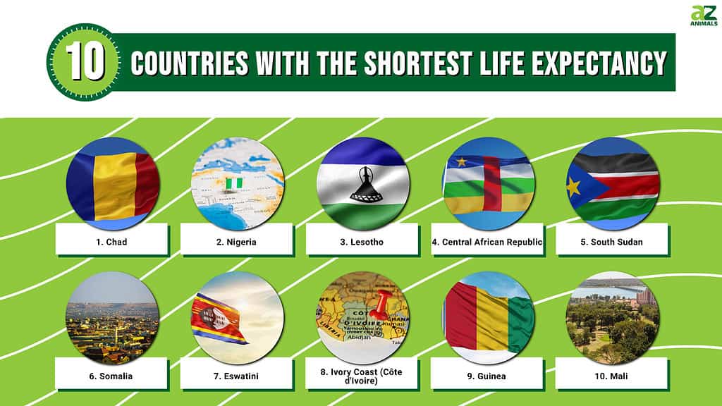 10 Countries With the Shortest Life Expectancy in 2024 AZ Animals