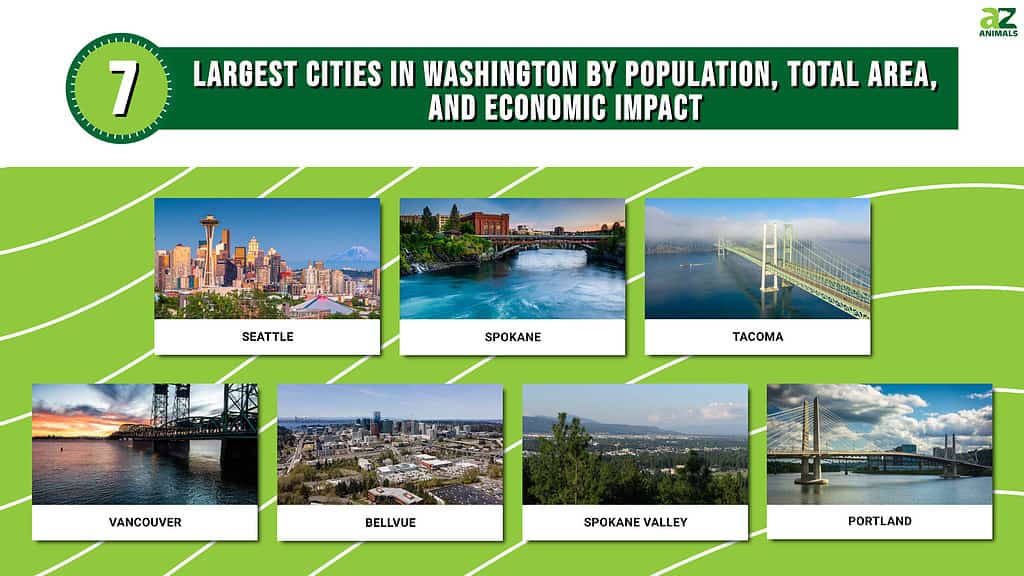 Largest City In Washington By Population