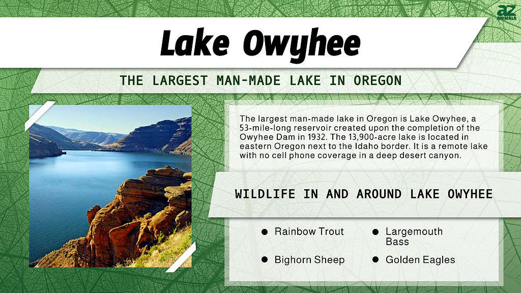 Lake Owyhee is the Largest Man-Made Lake in Oregon