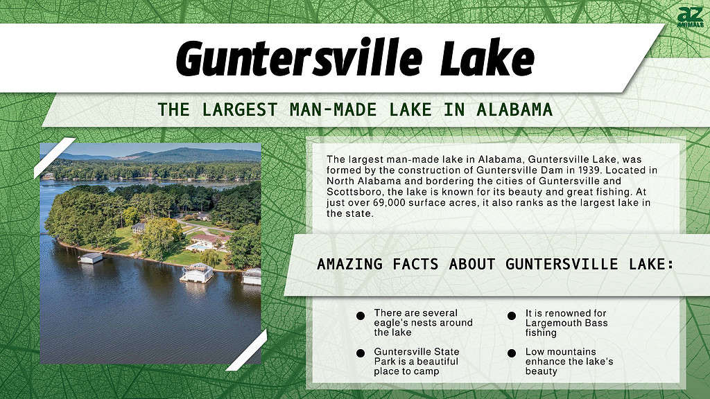 Guntersville Lake is the Largest Man-made Lake in Alabama