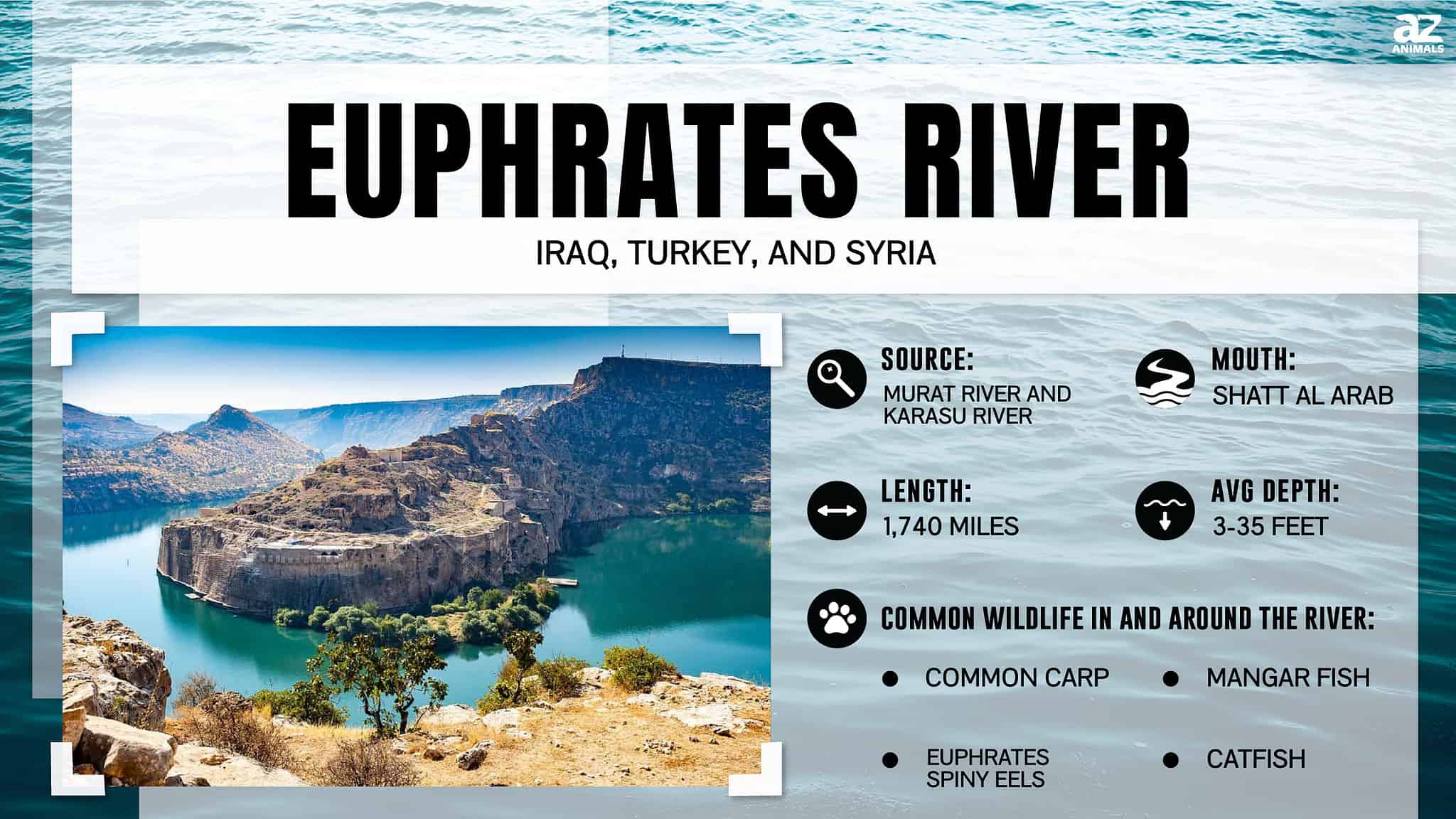What Lives and Lurks at the Bottom of the Euphrates River? AZ Animals