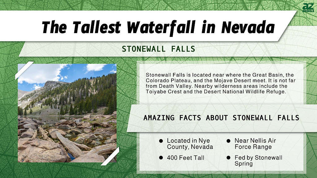 Tallest waterfall in Nevada infographic 