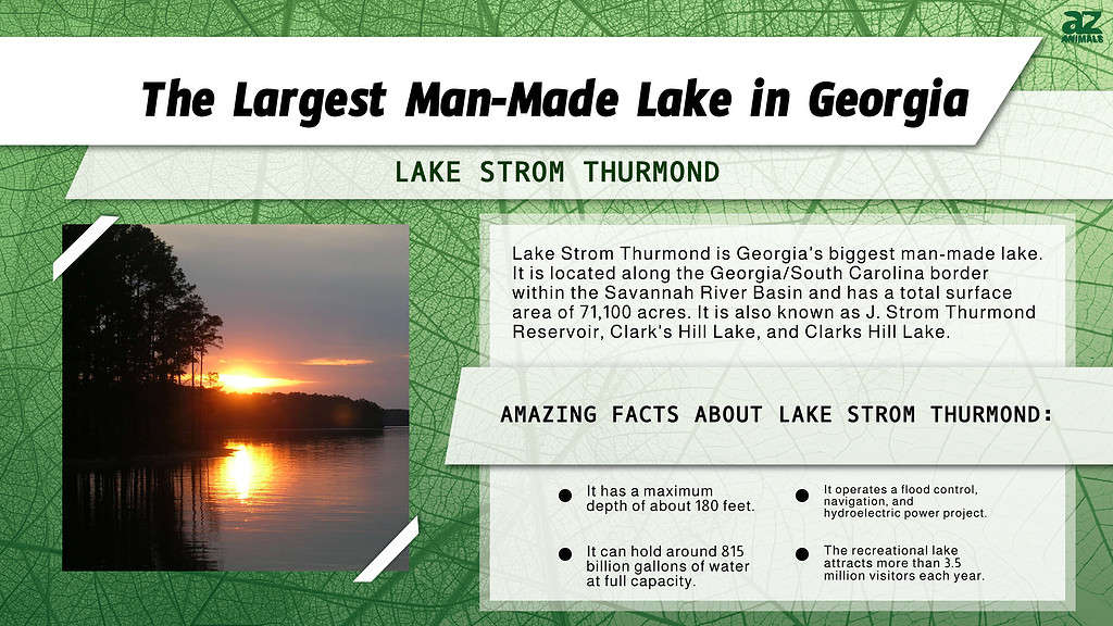 Infographic of the Largest Man-Made Lake in Georgia