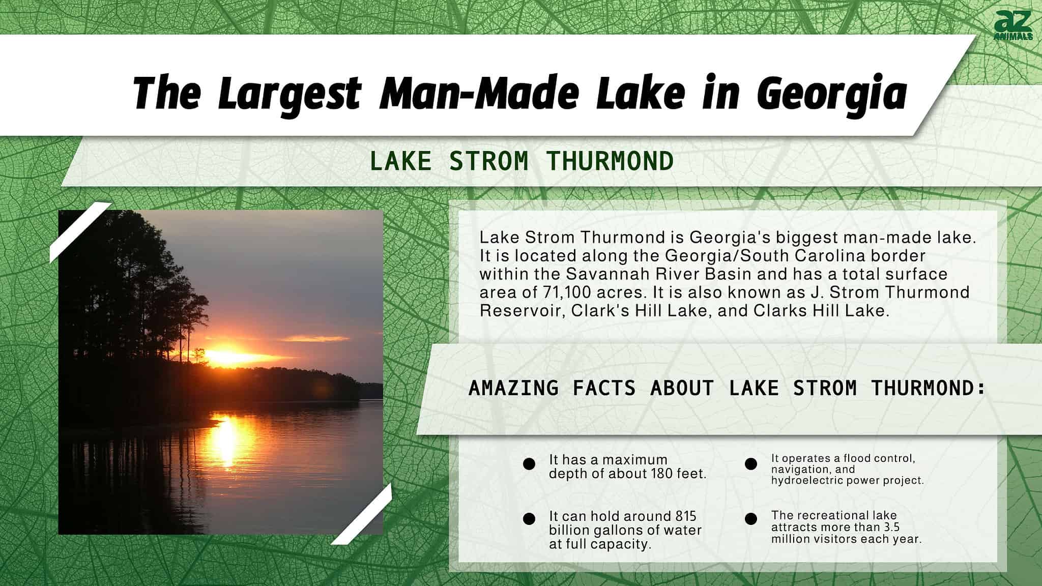 What's the Largest Man-Made Lake in Georgia? - A-Z Animals