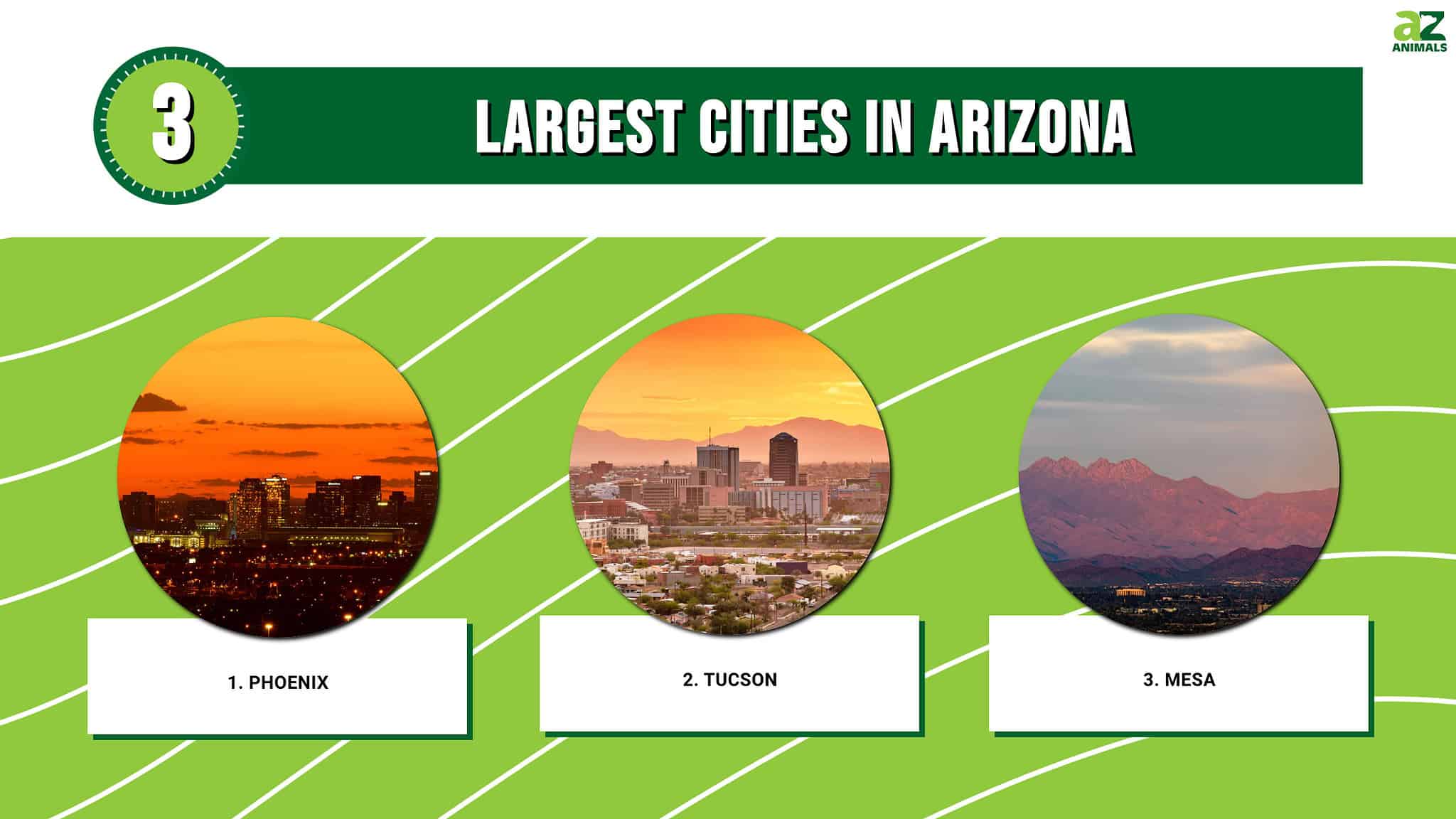 Discover the Largest Cities in Arizona (By Population, Total Area, and