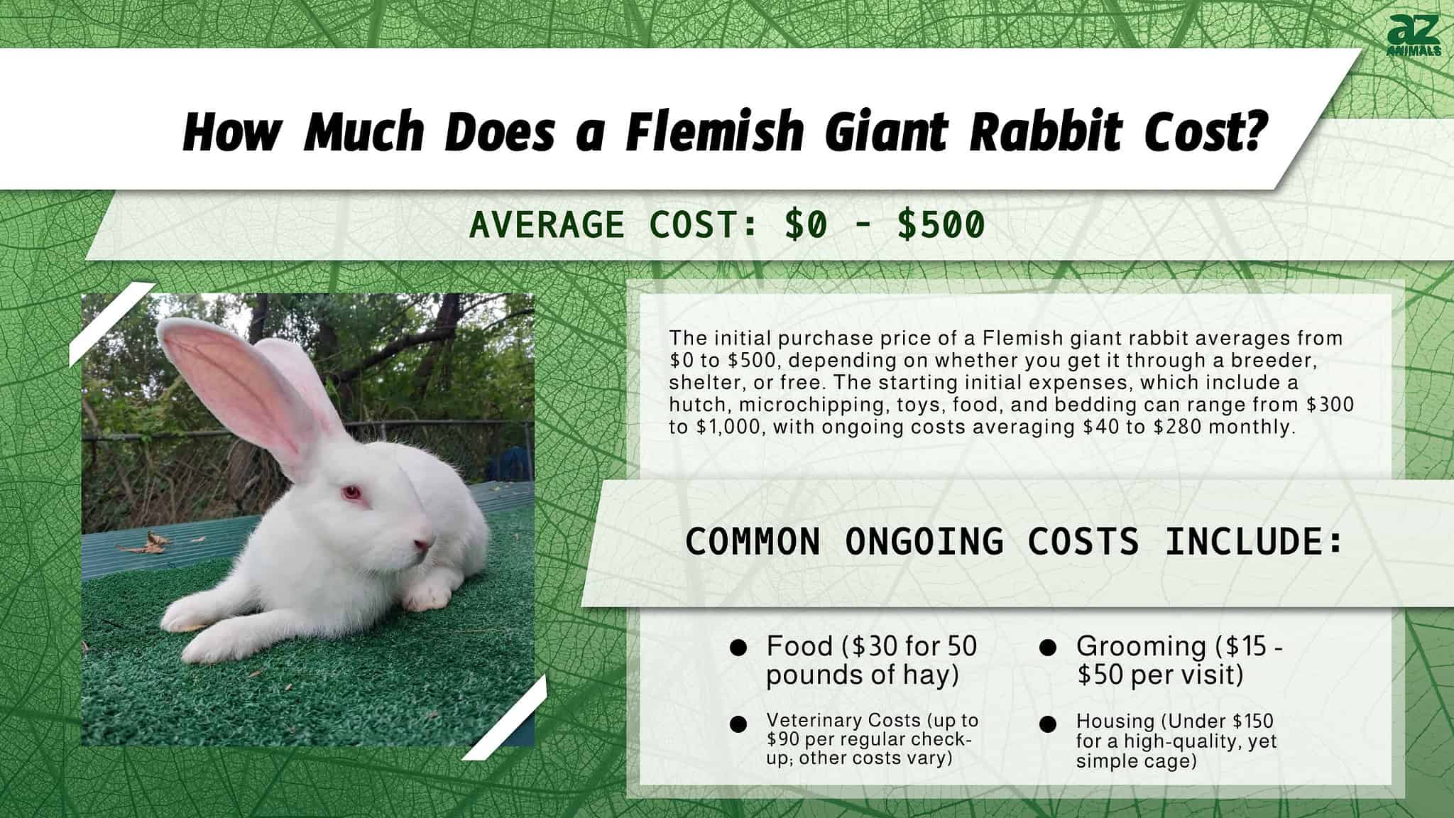 Flemish Giant Rabbit Prices in 2024 Purchase Cost, Supplies, Food, and More! AZ Animals