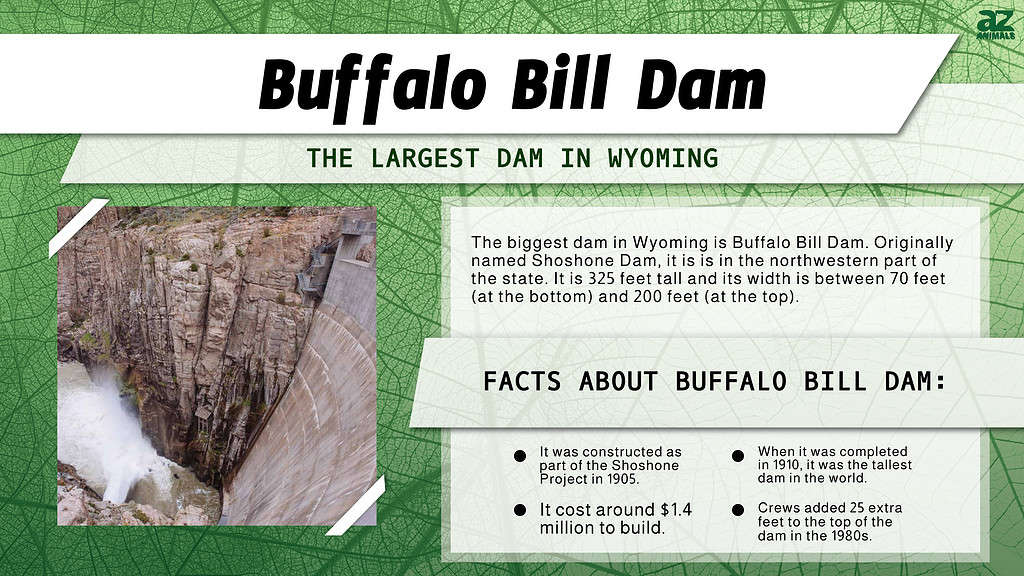 Infographic of Buffalo Bill Dam