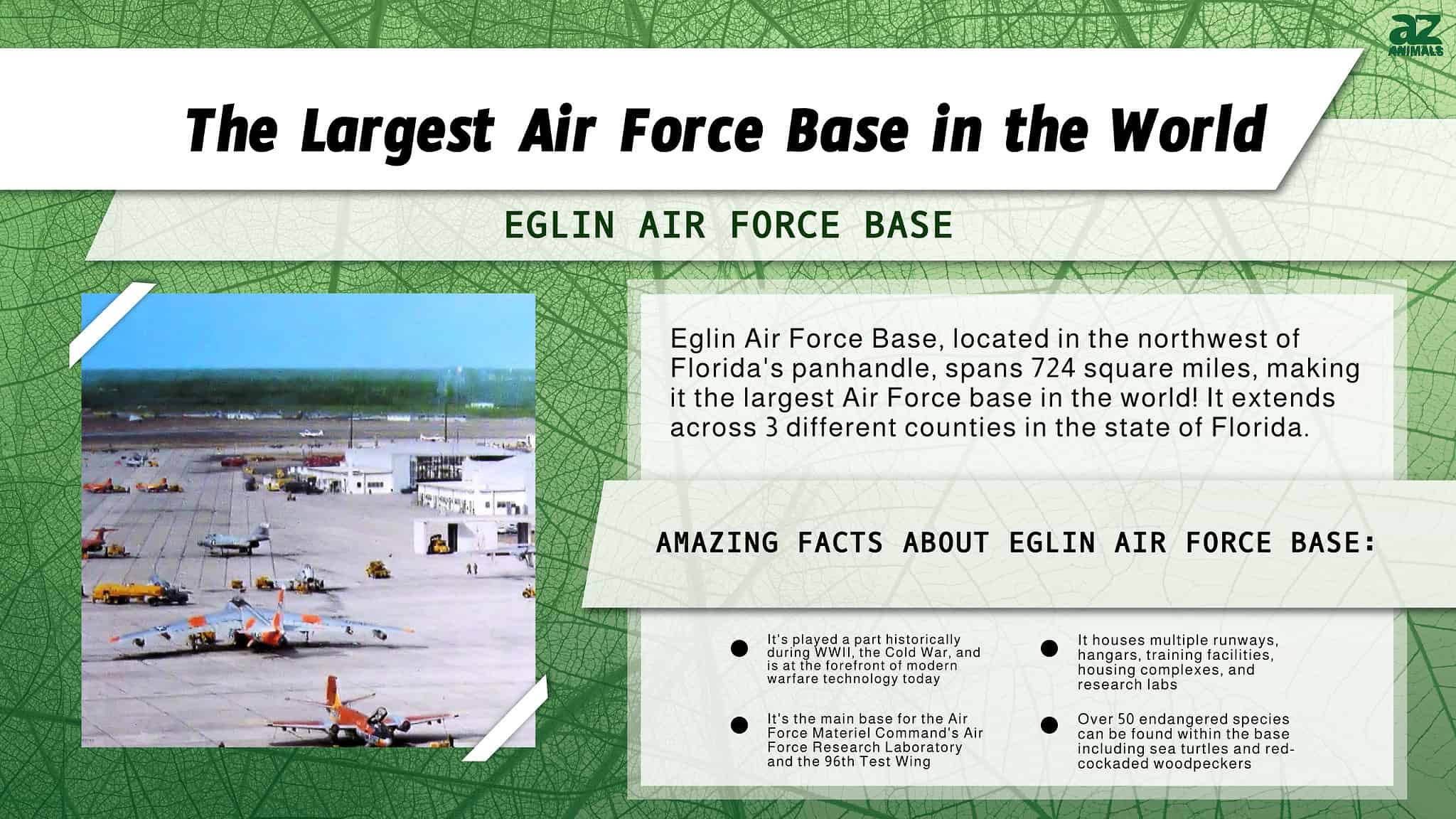 10-biggest-air-force-bases-in-the-world-insider-monkey