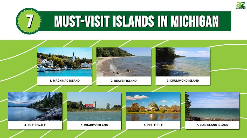 Infographic of 7 Must-Visit Islands in Michigan