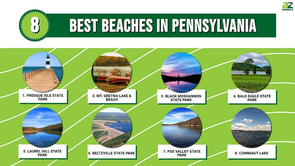 Infographic of 8 Best Beaches in Pennsylvania
