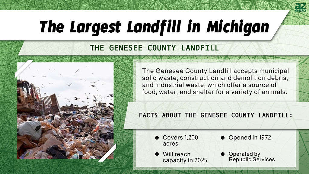 "Largest" infographic for the largest landfill in MI in Genesee County.