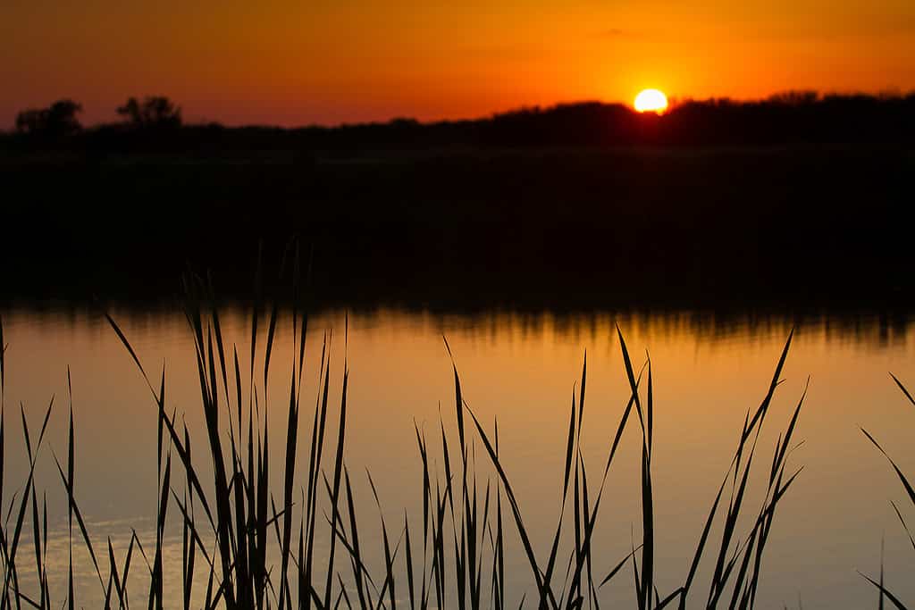 Choke Canyon State Park near Three Rivers, Texas.