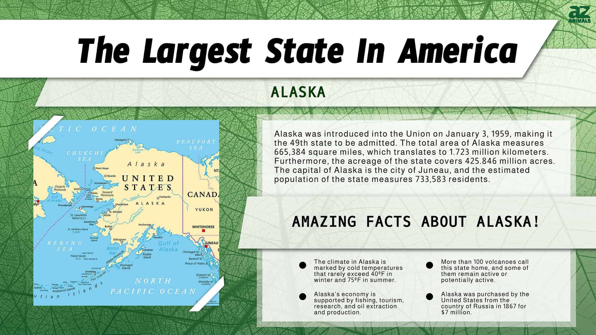 Discover The Largest States By Area (All 50 Ranked) - A-Z Animals