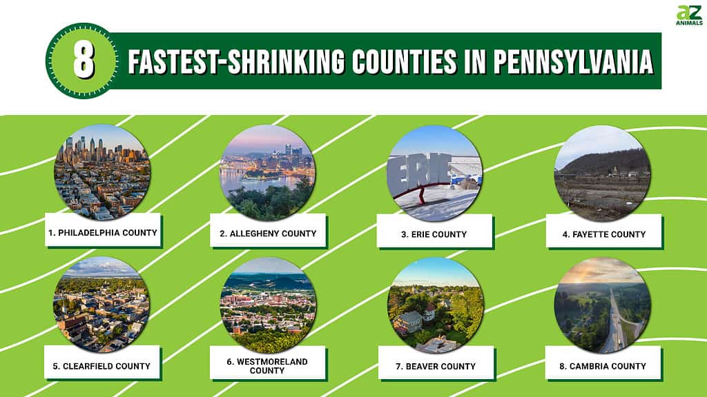 Residents Are Fleeing These 8 Fastest Shrinking Counties In   7aeff245c53c0679f0e1f1ee5cb92b019c188398 1024x576 