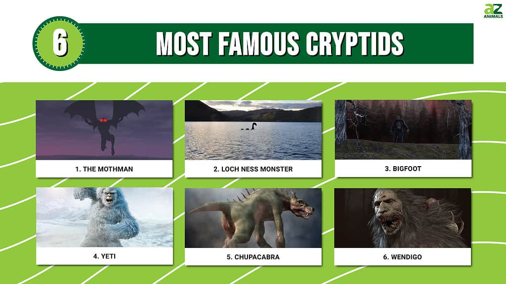 Infographic of 6 Most Famous Cryptids