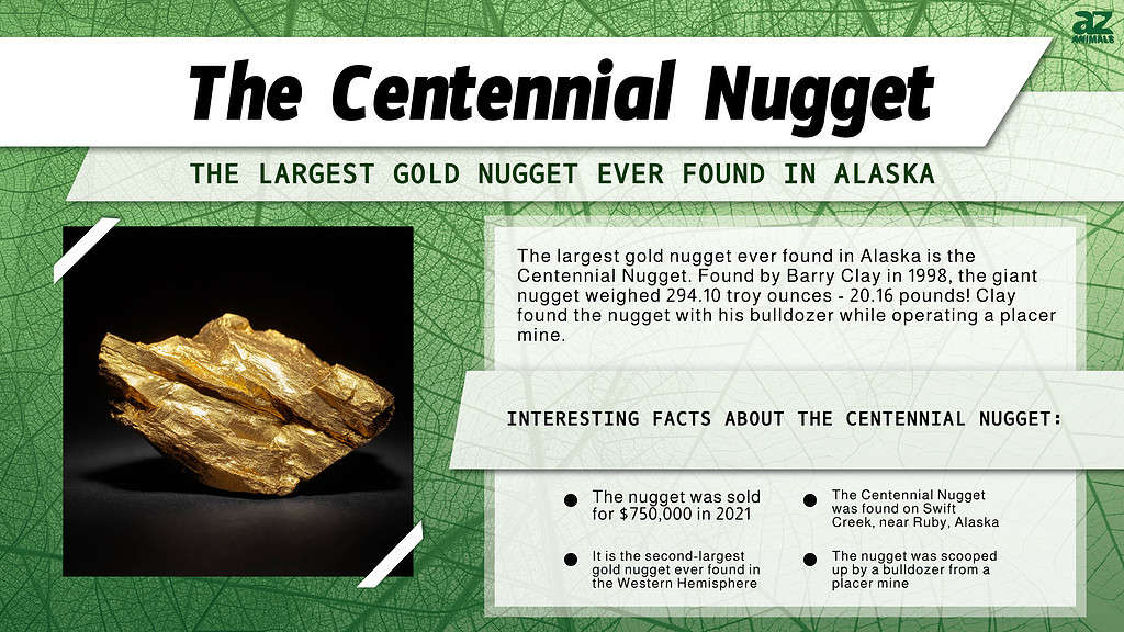 The Centennial Nugget, the Largest Gold Nugget Ever Found in Alaska