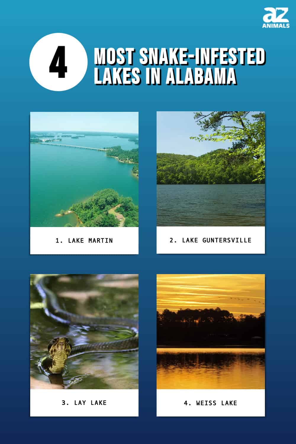 4 Of The Most Snake-Infested Lakes In Alabama - A-Z Animals