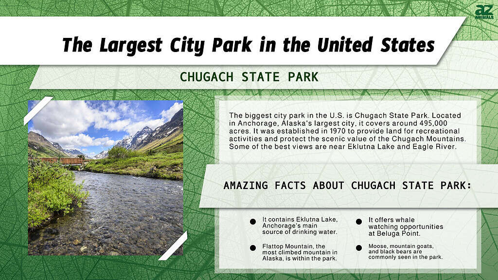 Infographic of the Largest City Park in the United States