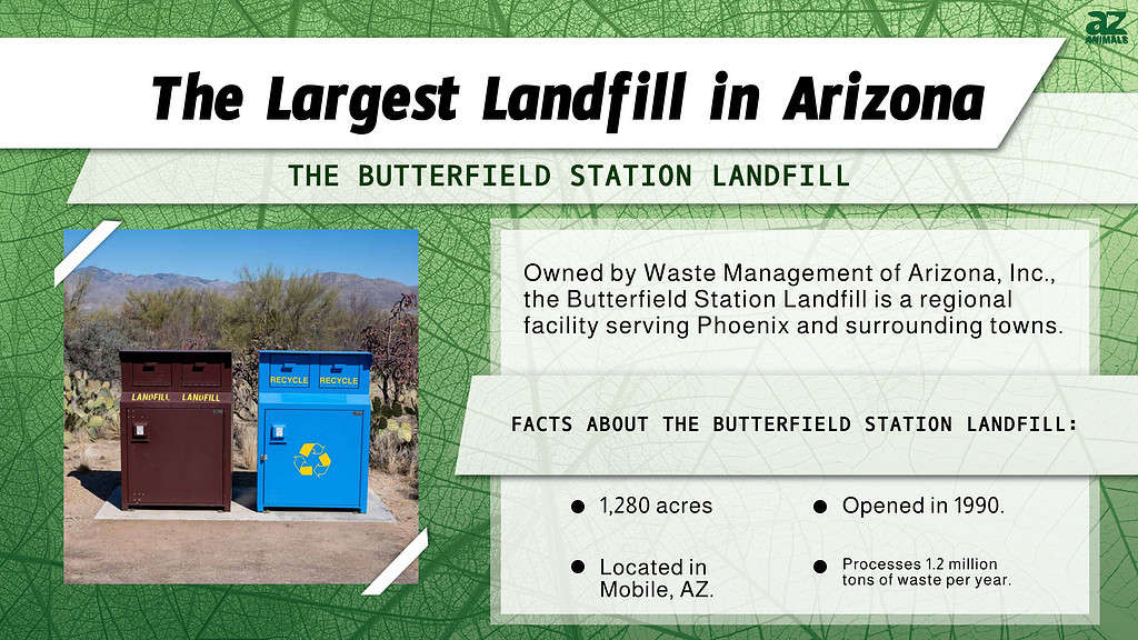 "Largest" infographic for the largest landfill in AZ.
