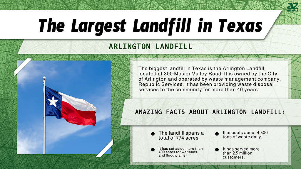 Infographic of the Largest Landfill in Texas 