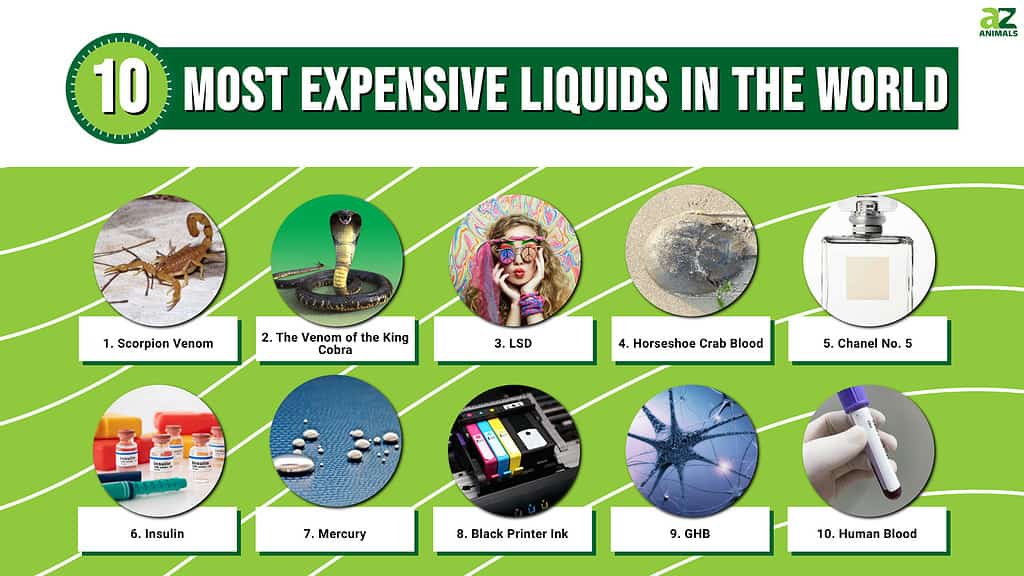 Discover the Top 10 Most Expensive Liquids in the World (#1 Is $39M for a  Gallon!) - AZ Animals