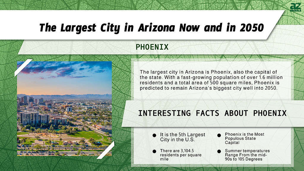 The Largest City in Arizona