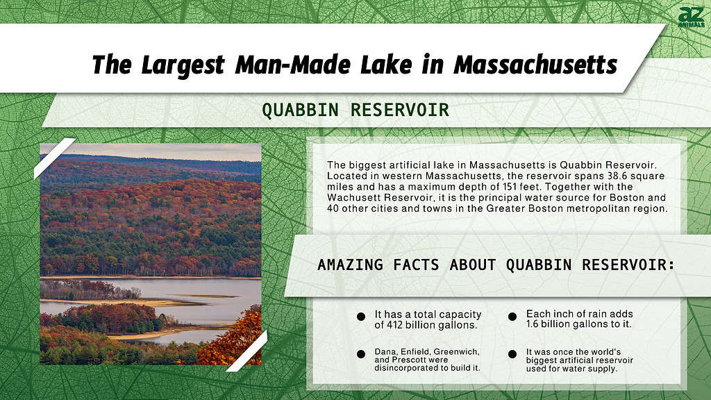 Infographic of the Largest Man-Made Lake in Massachusetts 