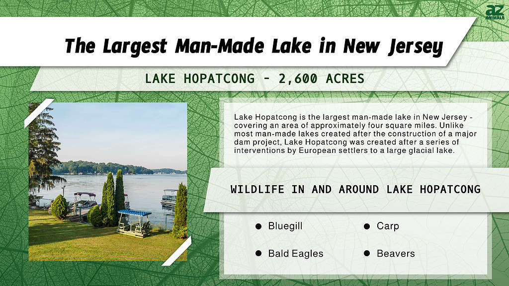 The Largest Man-made Lake in New Jersey