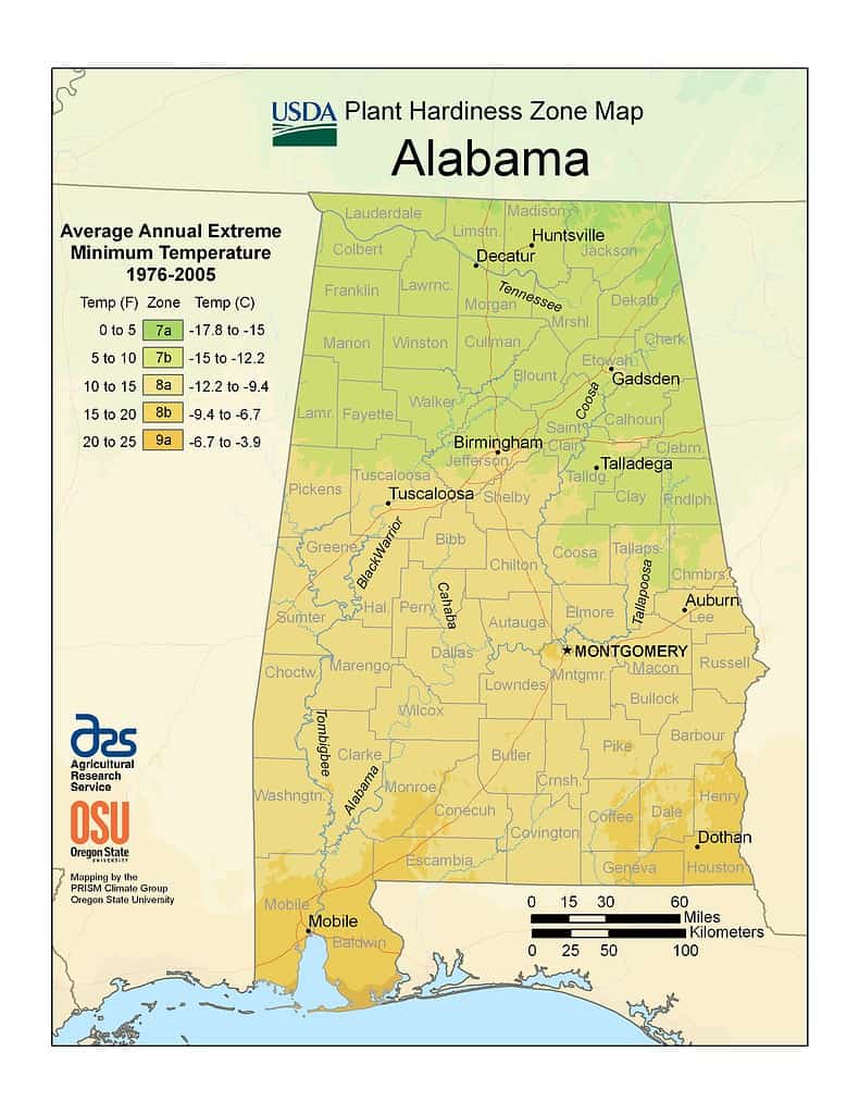 Discover Alabama's Planting Zones Plus 13 Keys To Keeping Flowers