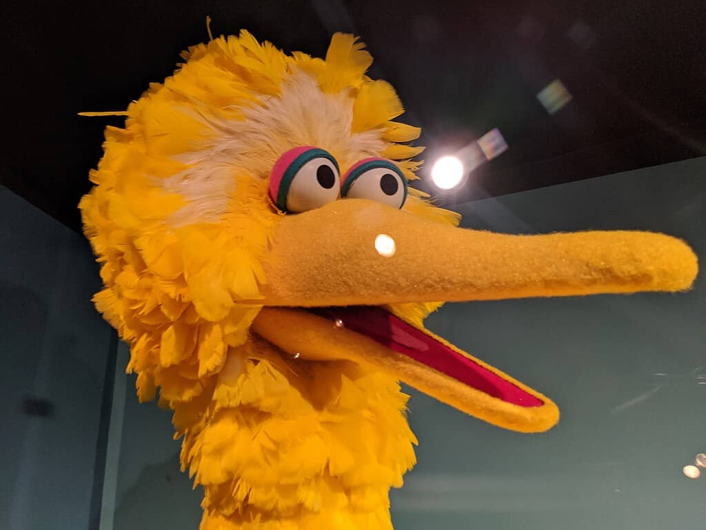 big bird puppet head