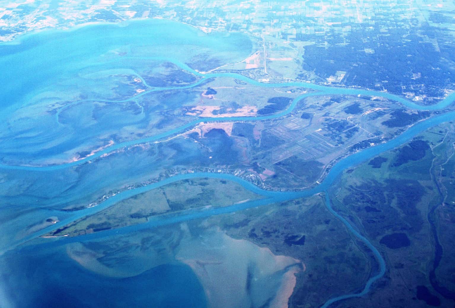 The 7 Best Places and Times to See Bald Eagles in Michigan - A-Z Animals