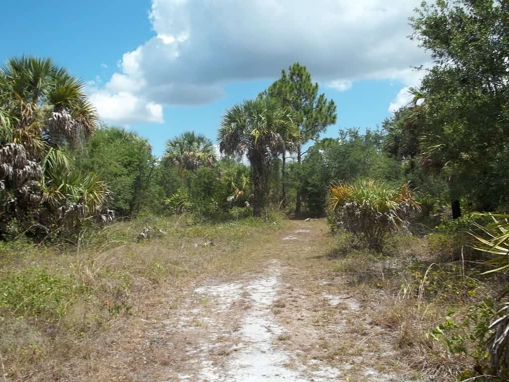 Charlotte Harbor Preserve State Park