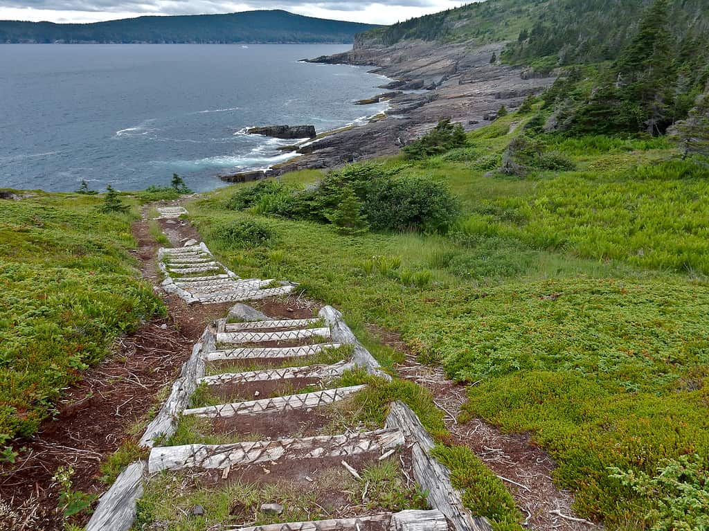 East Coast Trail, Newfoundland
