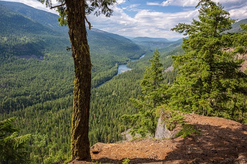 Shadden Lookout and Clearwater River in Wells Gray Provincial Park